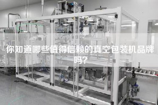 你知道哪些值得信赖的真空包装机品牌吗？