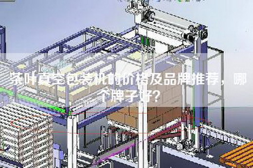 茶叶真空包装机的价格及品牌推荐，哪个牌子好？