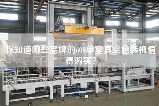 你知道哪些品牌的600单室真空包装机值得购买？