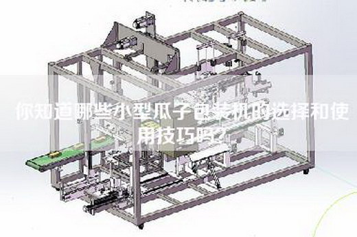 你知道哪些小型瓜子包装机的选择和使用技巧吗？