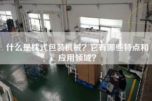 什么是枕式包装机械？它有哪些特点和应用领域？