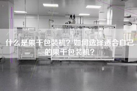 什么是果干包装机？如何选择适合自己的果干包装机？