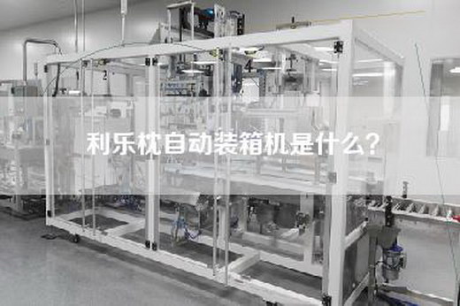 利乐枕自动装箱机是什么？