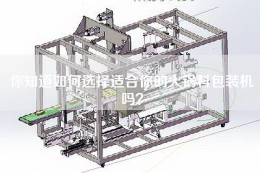 你知道如何选择适合你的火锅料包装机吗？