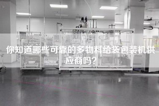 你知道哪些可靠的多物料给袋包装机供应商吗？