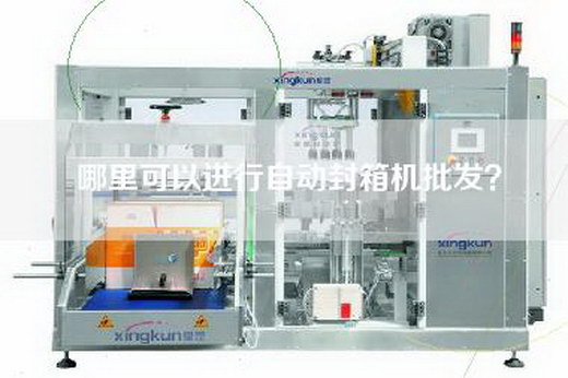 哪里可以进行自动封箱机批发？