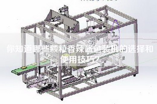 你知道哪些颗粒香辣酱包装机的选择和使用技巧？