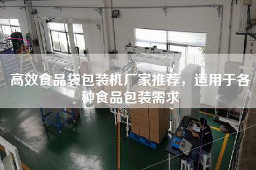 高效食品袋包装机厂家推荐，适用于各种食品包装需求