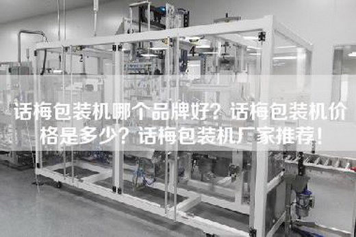 话梅包装机哪个品牌好？话梅包装机价格是多少？话梅包装机厂家推荐！