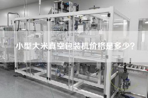 小型大米真空包装机价格是多少？