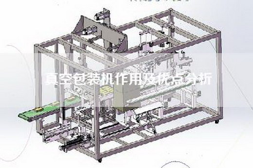 真空包装机作用及优点分析