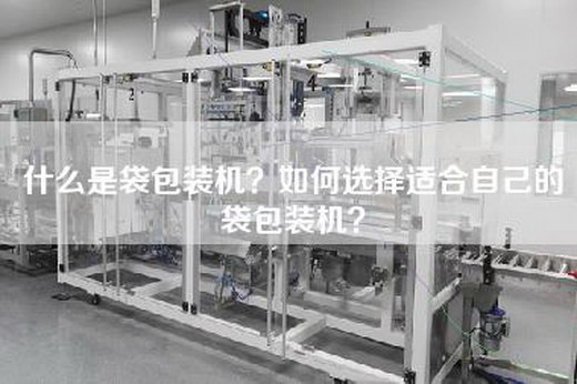 什么是袋包装机？如何选择适合自己的袋包装机？