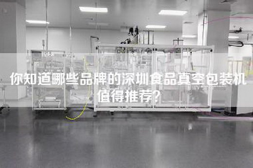 你知道哪些品牌的深圳食品真空包装机值得推荐？