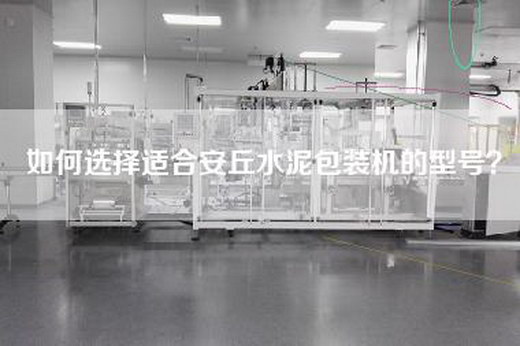如何选择适合安丘水泥包装机的型号？