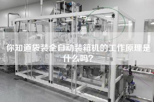 你知道袋装全自动装箱机的工作原理是什么吗？