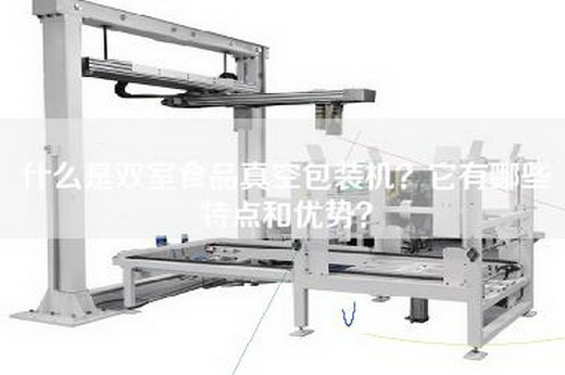 什么是双室食品真空包装机？它有哪些特点和优势？