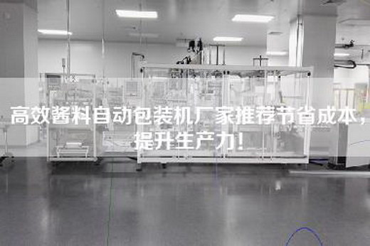 高效酱料自动包装机厂家推荐节省成本，提升生产力！