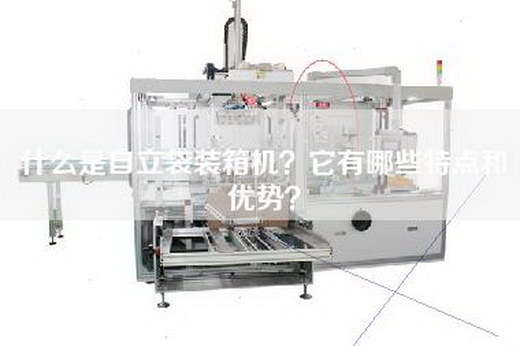 什么是自立袋装箱机？它有哪些特点和优势？