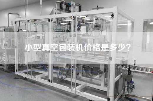 小型真空包装机价格是多少？