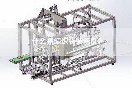 什么是编织袋装箱机？