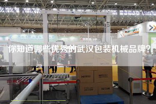 你知道哪些优秀的武汉包装机械品牌？