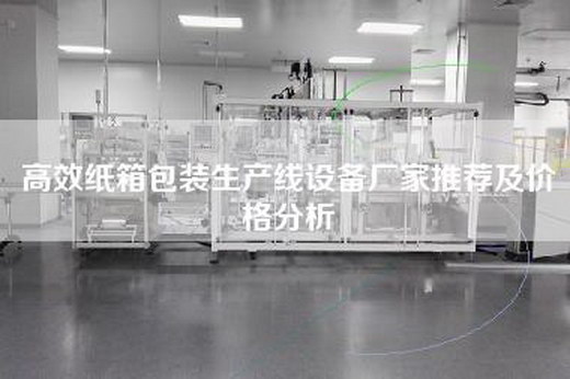 高效纸箱包装生产线设备厂家推荐及价格分析