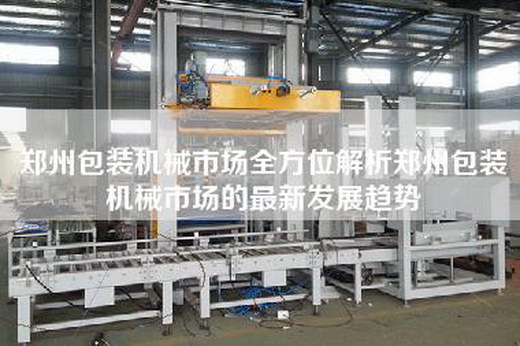 郑州包装机械市场全方位解析郑州包装机械市场的最新发展趋势