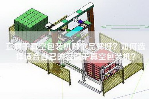 豆腐干真空包装机哪个品牌好？如何选择适合自己的豆腐干真空包装机？