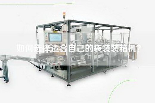 如何选择适合自己的袋装装箱机？