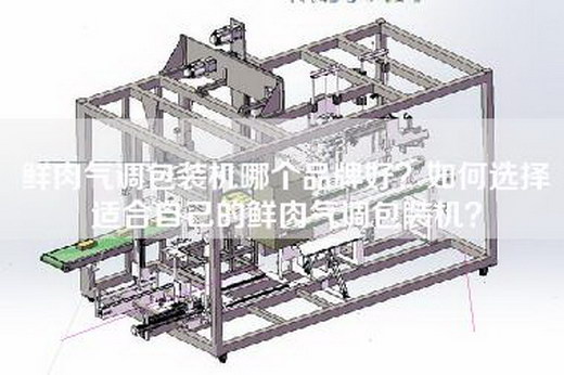 鲜肉气调包装机哪个品牌好？如何选择适合自己的鲜肉气调包装机？