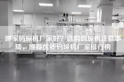 哪家码垛机厂家好？选购码垛机注意事项，推荐优质码垛机厂家排行榜