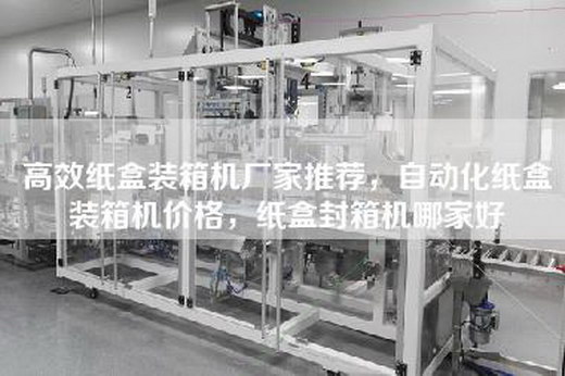 高效纸盒装箱机厂家推荐，自动化纸盒装箱机价格，纸盒封箱机哪家好