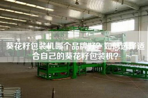 葵花籽包装机哪个品牌好？如何选择适合自己的葵花籽包装机？