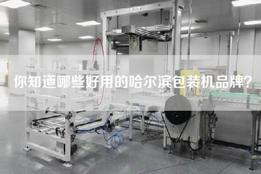 你知道哪些好用的哈尔滨包装机品牌？