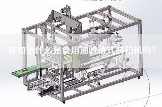 你知道什么是食用油跌落式装箱机吗？