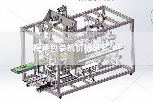 榨菜包装机价格是多少？