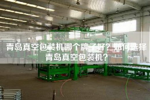 青岛真空包装机哪个牌子好？如何选择青岛真空包装机？