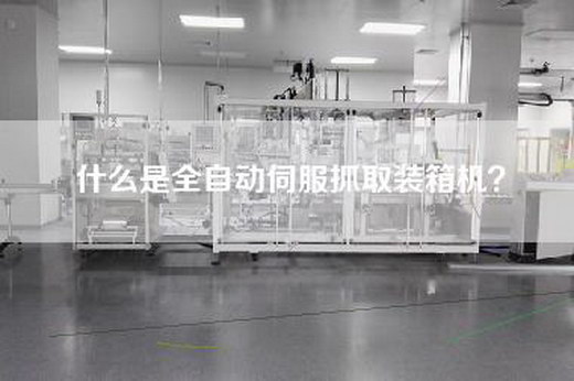 什么是全自动伺服抓取装箱机？