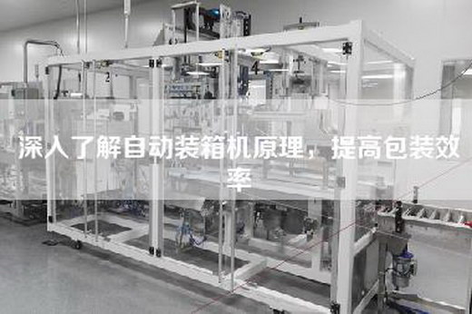 深入了解自动装箱机原理，提高包装效率