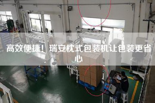 高效便捷！瑞安枕式包装机让包装更省心