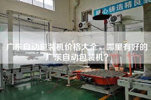 广东自动包装机价格大全，哪里有好的广东自动包装机？