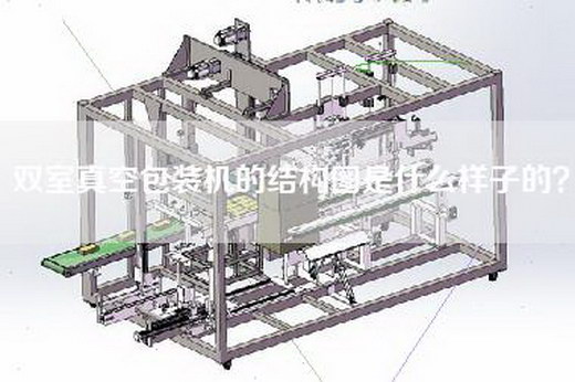 双室真空包装机的结构图是什么样子的？