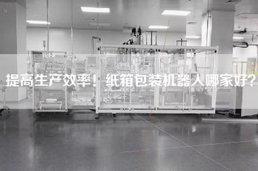 提高生产效率！纸箱包装机器人哪家好？