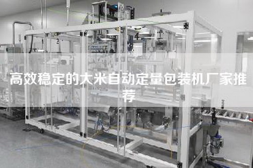 高效稳定的大米自动定量包装机厂家推荐