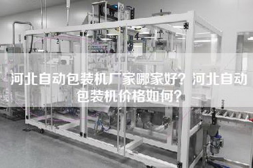 河北自动包装机厂家哪家好？河北自动包装机价格如何？
