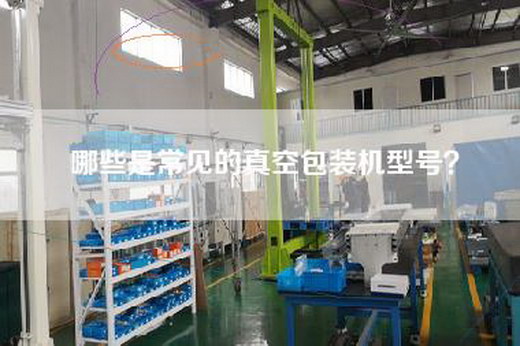 哪些是常见的真空包装机型号？