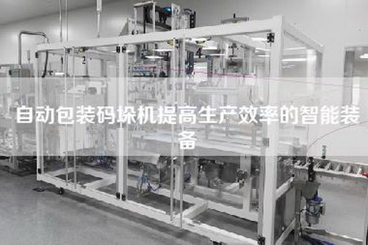自动包装码垛机提高生产效率的智能装备