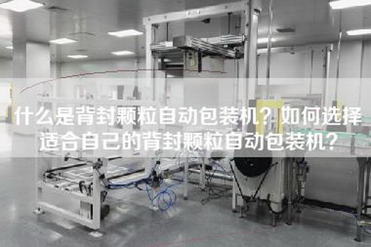 什么是背封颗粒自动包装机？如何选择适合自己的背封颗粒自动包装机？