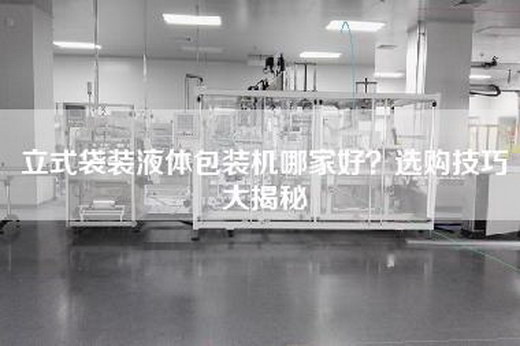 立式袋装液体包装机哪家好？选购技巧大揭秘