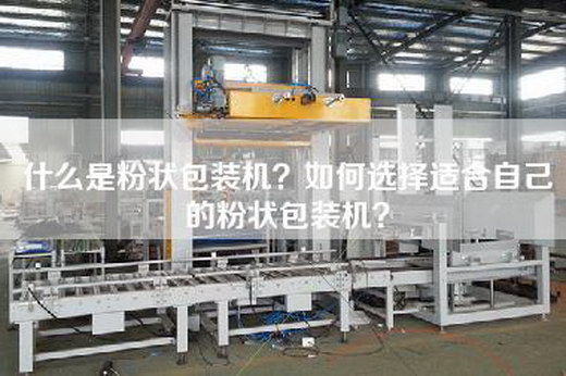什么是粉状包装机？如何选择适合自己的粉状包装机？